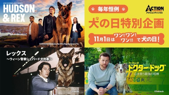 毎年恒例！犬の日特別企画　11月1日（土）スタート