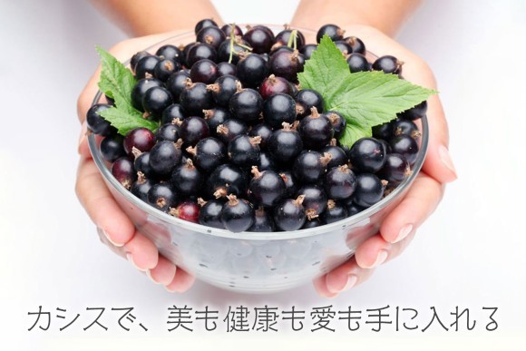 スーパーフードの王様　ニュージーランド産カシス