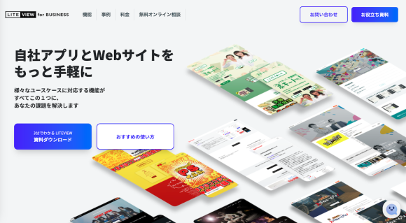 LITEVIEW for BUSINESSイメージ画像