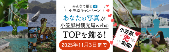 「#恋した小笠原2025フォトコン 」「#ogasawalove」