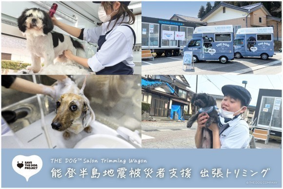 能登半島地震被災者支援　出張トリミング第2弾実施