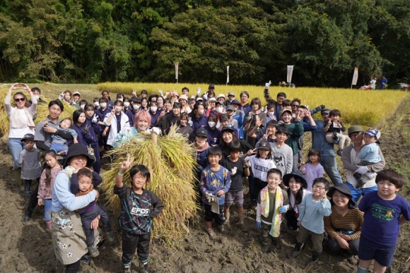 手越村３年目の稲刈りは、 たくさんの子どもたちや外国人の方々と