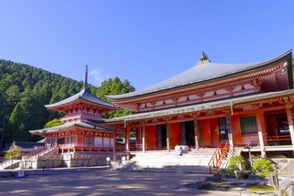 京都エコノミックガーデニング補助金