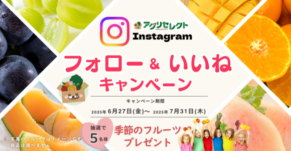公式Instagram限定キャンペーン