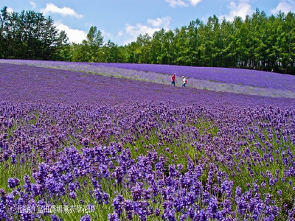 新エネルギー設備導入支援事業