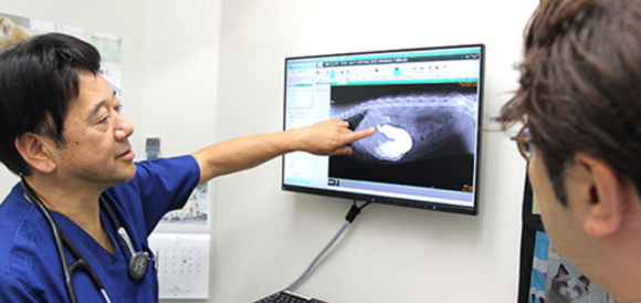 駒沢どうぶつ病院が実践する「本質的な動物医療」とは？