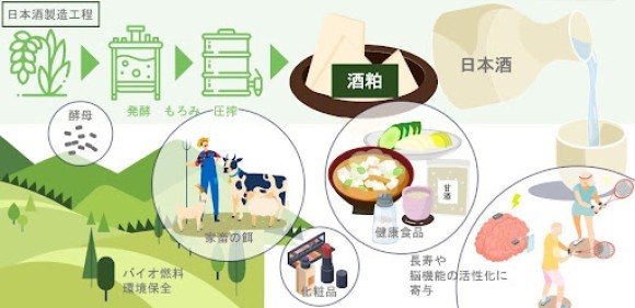 MEMORY LABと津南醸造が協力して、日本酒×サステナビリティを実現するための研究開発分野を網羅的に探索した事例