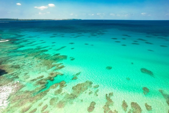 【11月開催】卸・小売業が果たせるSDGsへの貢献～地域とともに未来をつくる～を合同会社SucceeDが開催します