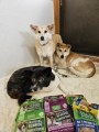 兵庫県の動物保護団体「神戸アニマルレスキューpinky」に犬用無添加おやつ VitaLife（ビタライフ）を寄付いたしました