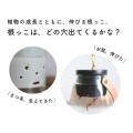 顔から根っこが生えてきた？！遊び心あふれる水耕栽培用鉢