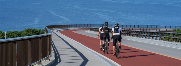 ワイ・インターナショナル