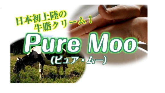 初めてのクラウドファンディング