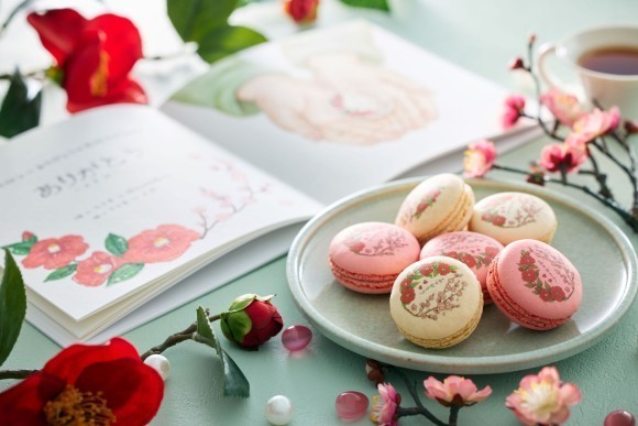 ピースフルマカロン　イメージ