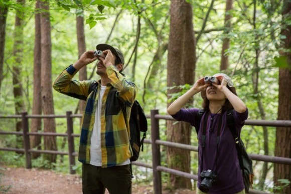 県内の自然豊かな場所で野鳥ガイドと待ち合わせ、現地集合、現地開催のプログラムになります。