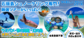 石垣島シュノーケリング専門予約サイト