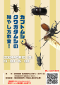 「カブトムシ・クワガタムシ」をテーマに、虫に詳しい昆虫博士でもある飼育スタッフが、体のつくりや殖やし方について、実際に昆虫マットや飼育瓶を使用しながらレクチャーを行います。