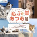 猫の日イベント