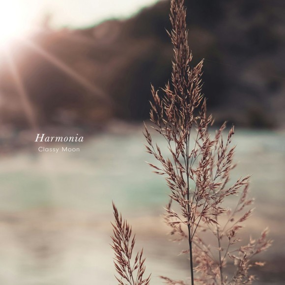 Classy Moon / Harmonia