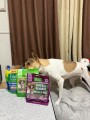 島根県の動物保護団体「Animal Life Support Center PONT」に犬用無添加おやつ VitaLife（ビタライフ）を寄付いたしました