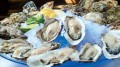 冬が旬の生牡蠣をシャンパンと堪能する「牡蠣シャン」フェアを12月1日（木）より「マイモン銀座」にて開催