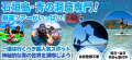石垣島青の洞窟専門予約サイト