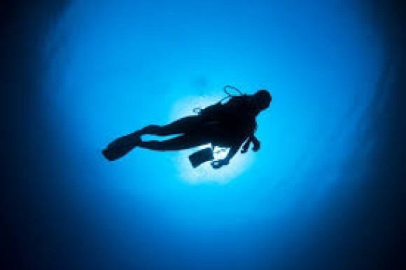 ダイバーシルエット