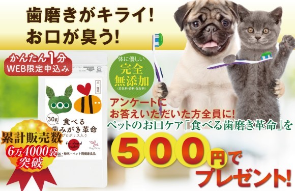 犬・猫の口臭のケアに『食べる歯磨き革命』アンケートに答えた方全員に