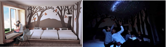 ネイチャールーム