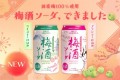 梅酒ソーダ新発売