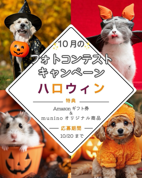 キャンペーン告知投稿