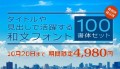 和文フォント100書体セット4,980円