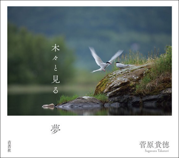 菅原貴徳写真集　表紙カバー画像