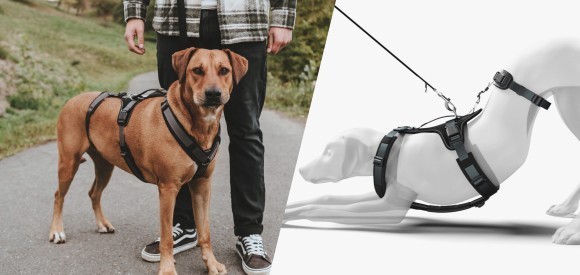 脱走防止ハーネス マルドン