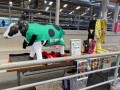 犬だけでなく「ウシも」服を着る時代に。​牛用防寒着「USIMO」、淡路島のJA展示会に出展