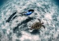 奄美国立公園で海ガメとのバイブレーション
