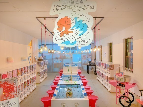 金魚すくい・わたあめ作り・ガチャガチャも回せる世界一おしゃれな金魚すくい屋さんです！