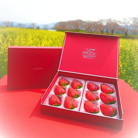 【ギフトボックス】古都華３Lサイズ