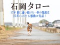 『石岡タロー』メインビジュアル