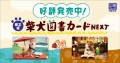 限定版柴犬図書カードが3年ぶりにやってきた！本日11月19日（火）より全国の書店で発売開始！