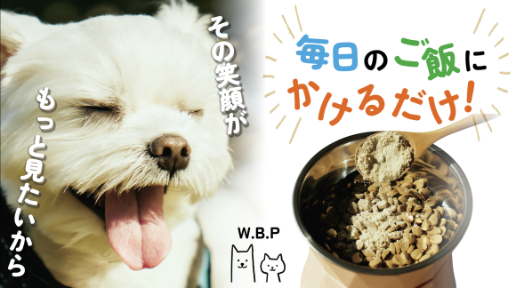 グリーンパパイア＆シルクの健康パウダー！