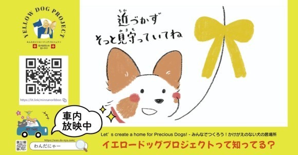 ペットタクシーわんだにゃー ×「みんなのイエロードッグプロジェクト」車内サイネージにて動画放映を開始～