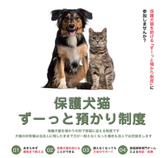 みんなでできる、小さな人助け、動物助け。「保護犬猫ずーっと預かり制度」