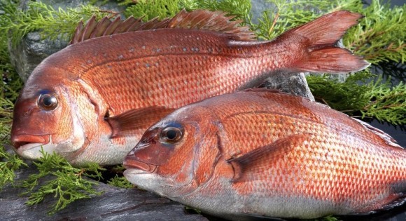 犬用真鯛ジャーキー