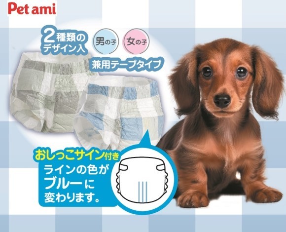 Pet　amiのペット用紙おむつがリニューアル