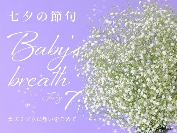七夕の7月7日（月）はカスミソウの日！福島・奥会津の雪に包まれ、想いを育てた花 「昭和かすみ草」を七夕限定販売！7月1日（火）販売スタート　7月14日（月）はひまわりの日！7月のレコメンドフラワーは夏の風物詩「ヒマワリ」