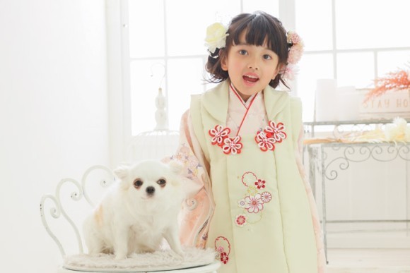 家族写真館実績にみる「ペット家族化」 七五三では和装率39％に 今秋は九州にもサービスを拡大（ハピリィフォトスタジオ）