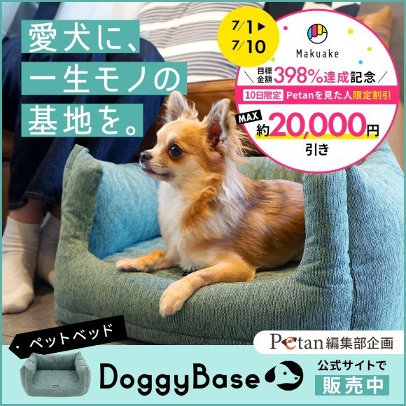 【期間限定】ペットベッドDoggyBase＜Makuake達成記念＞割引キャンペーン