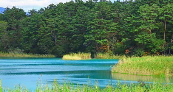 『企業の脱炭素経営とCDPについて』