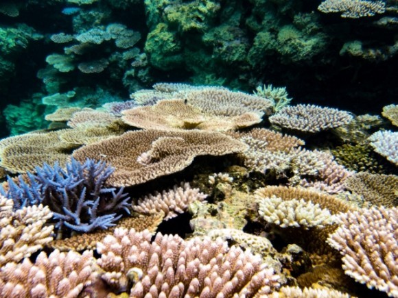 「化粧品廃棄のガイドライン」イメージ