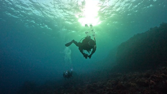 早朝ダイビング